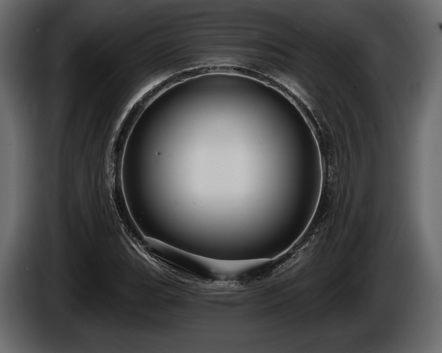 X0000085821119200703231351