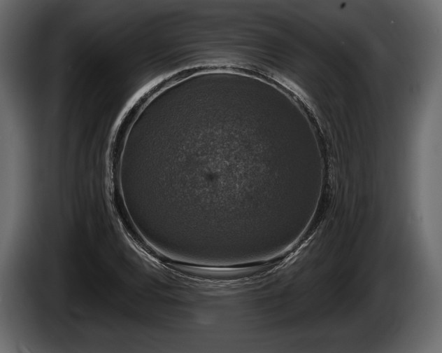 X0000085821120200703231351