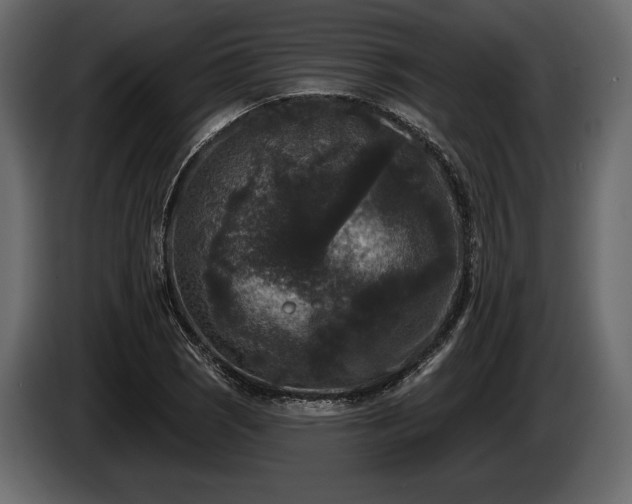 X0000085821121200703231351