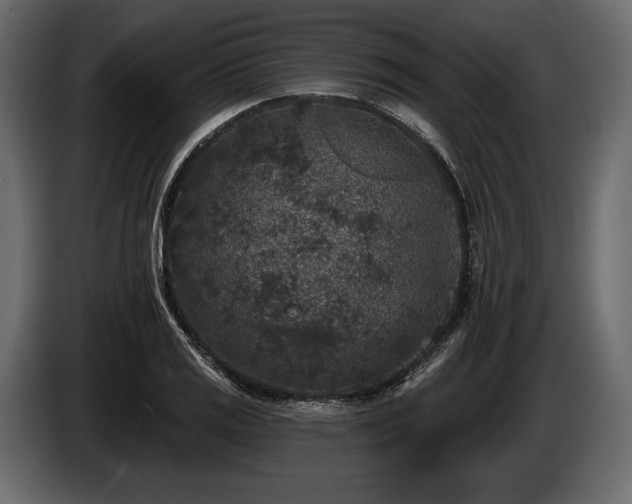 X0000085821125200703231351