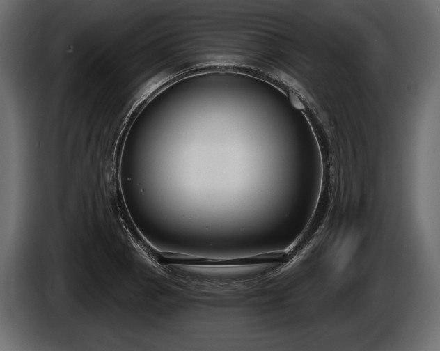 X0000085821129200703231351