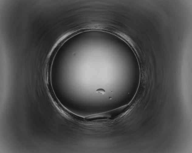 X0000085821131200703231351