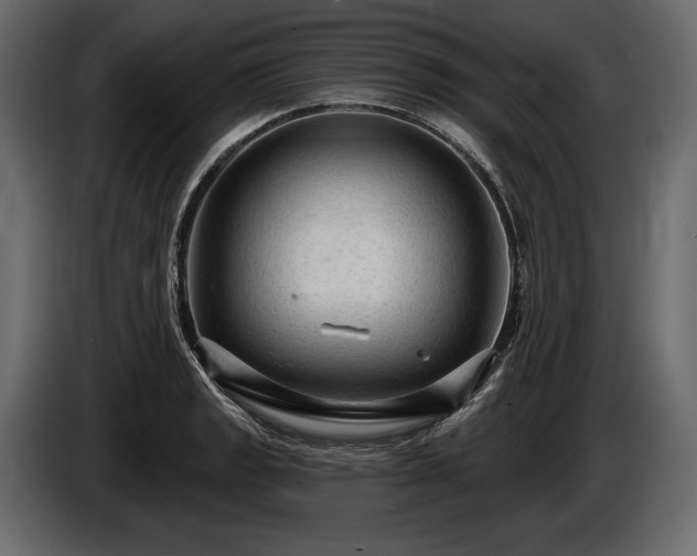 X0000085821133200703231351