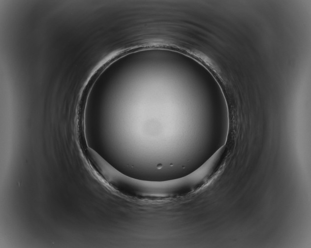 X0000085821134200703231351