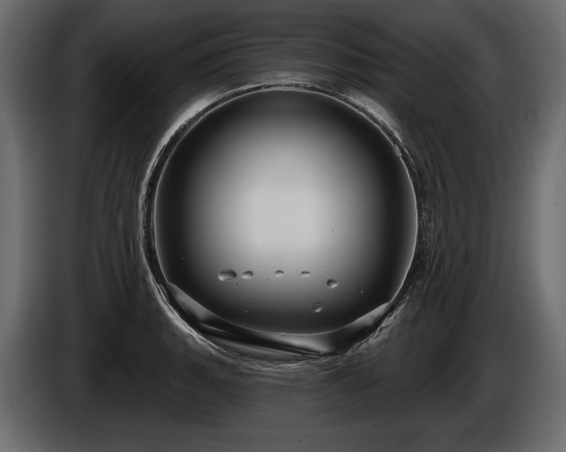 X0000085821135200703231351