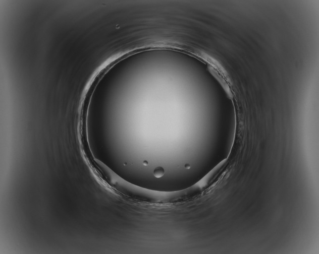 X0000085821136200703231351
