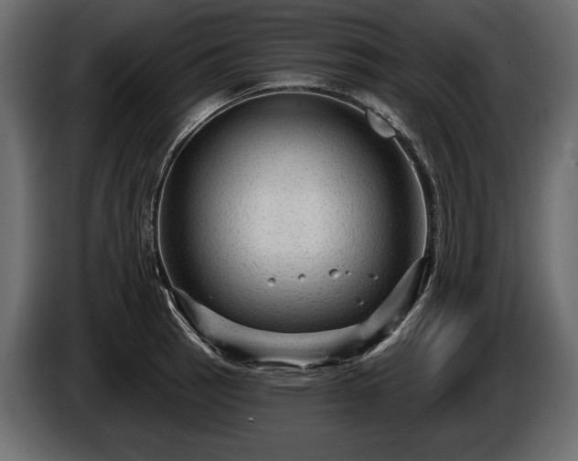 X0000085821137200703231351