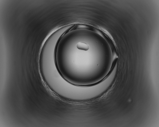 X0000085821138200703231351