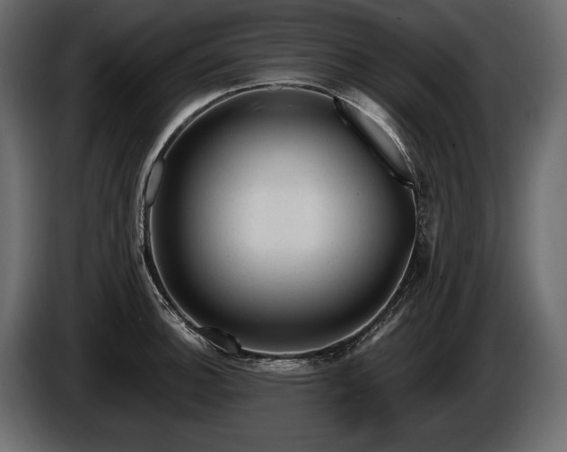 X0000085821140200703231351