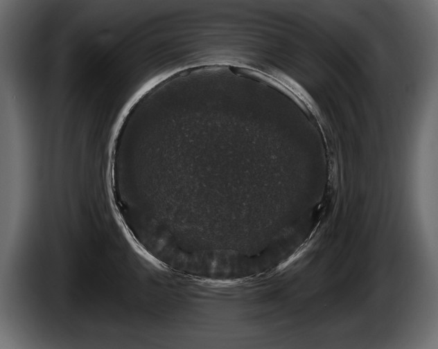 X0000085821144200703231351