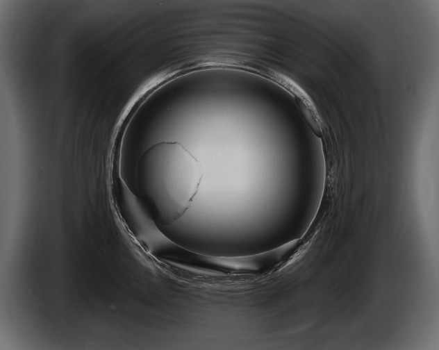 X0000085821146200703231351