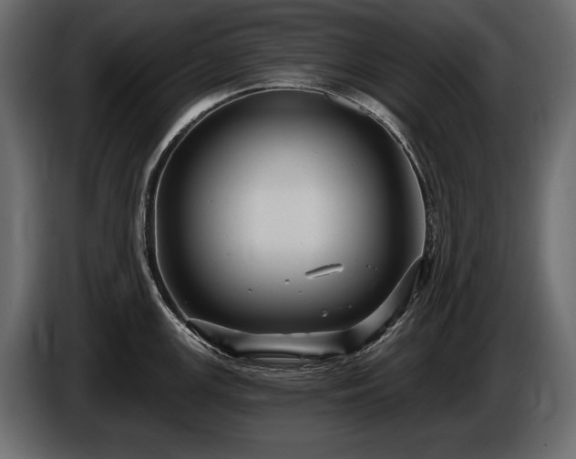 X0000085821147200703231351