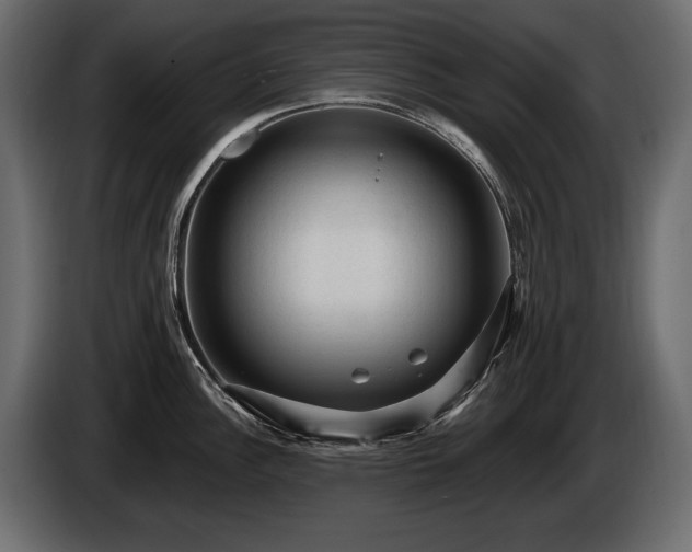 X0000085821148200703231351