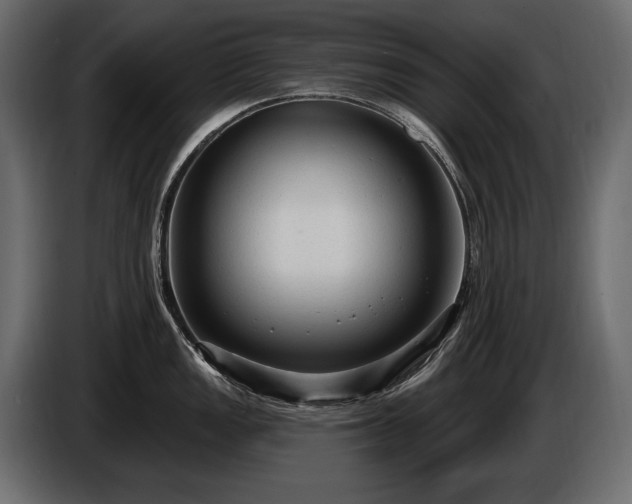 X0000085821149200703231351