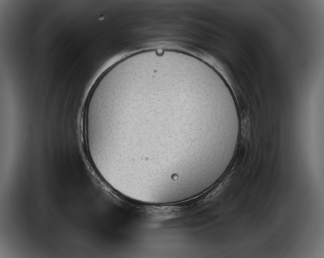 X0000085821150200703231351