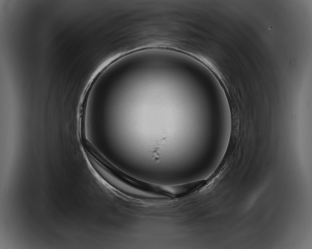 X0000085821151200703231351