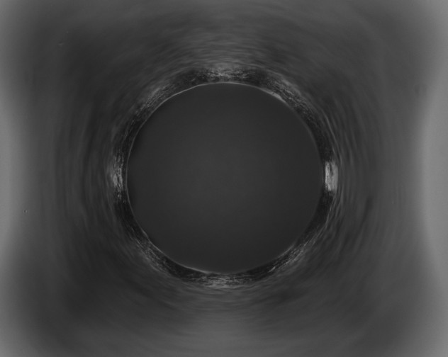 X0000085821155200703231350
