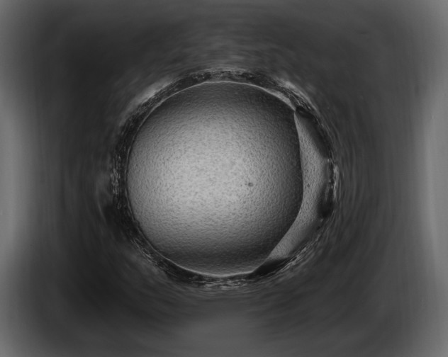 X0000085821159200703231350