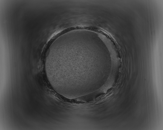 X0000085821160200703231350