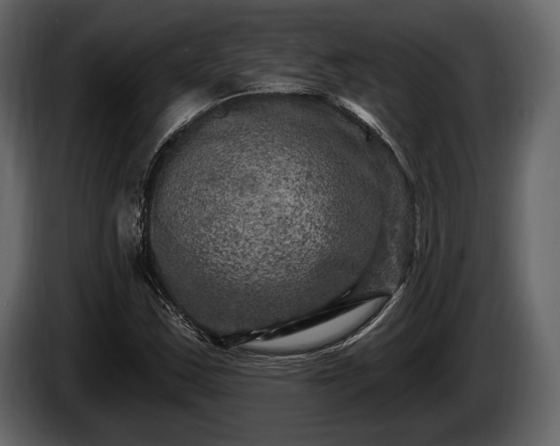 X0000085821163200703231350