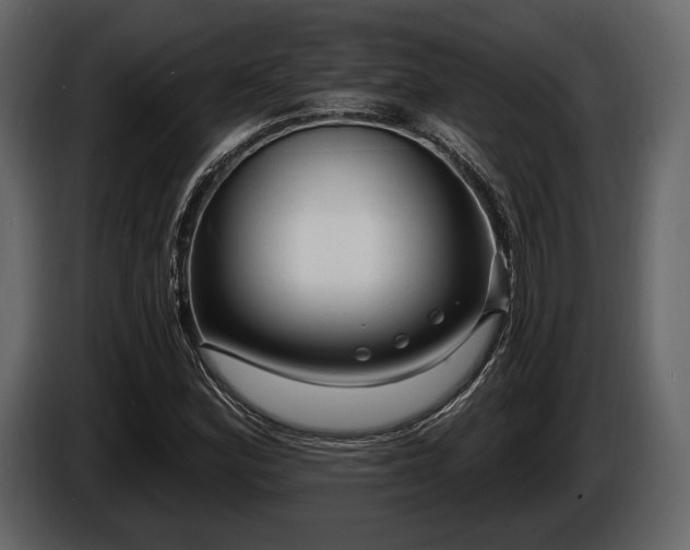 X0000085821164200703231350