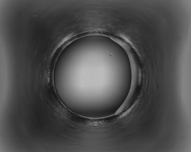X0000085821165200703231350