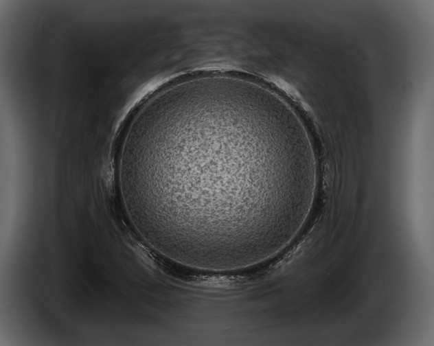 X0000085821167200703231350