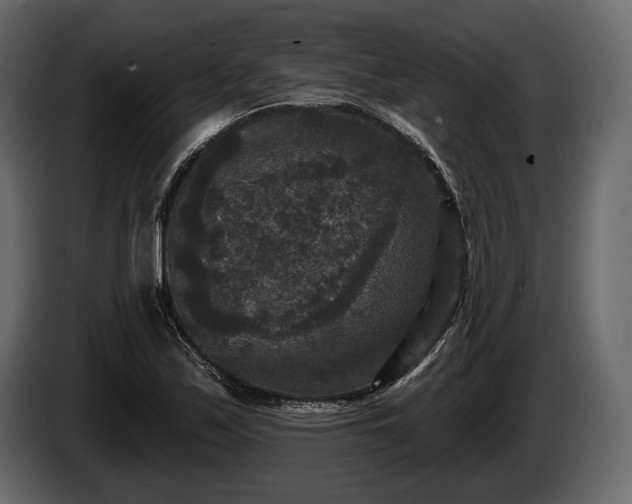 X0000085821171200703231350