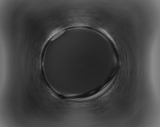 X0000085821173200703231350
