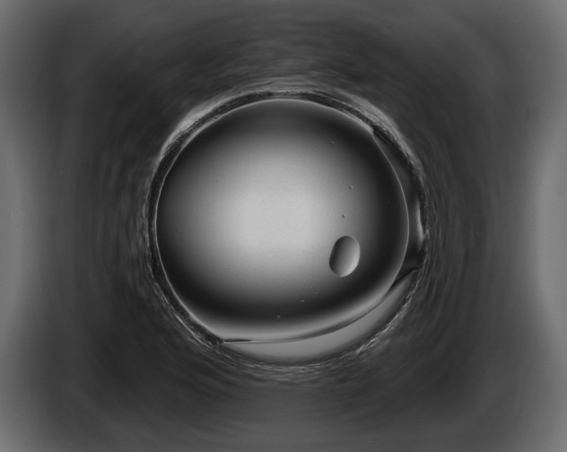 X0000085821176200703231350