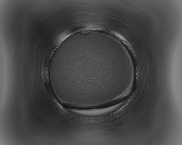 X0000085821177200703231350
