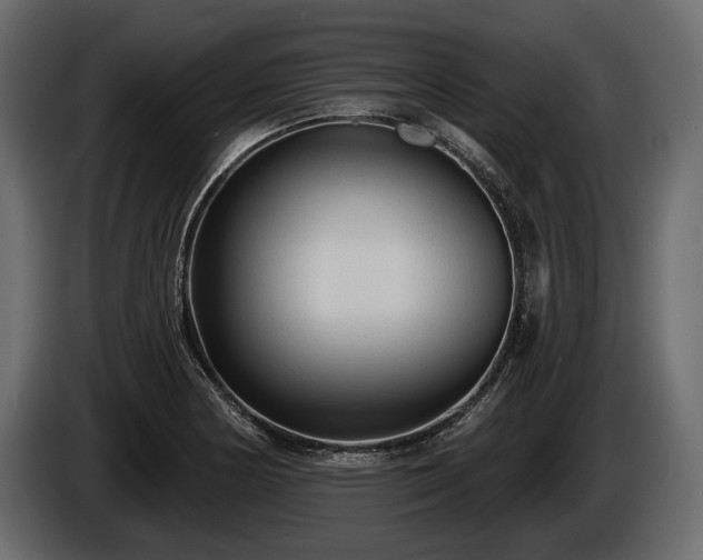 X0000085821178200703231350