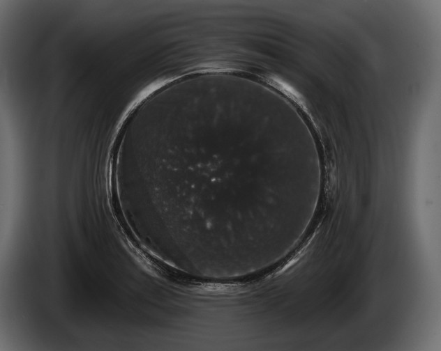 X0000085821179200703231350