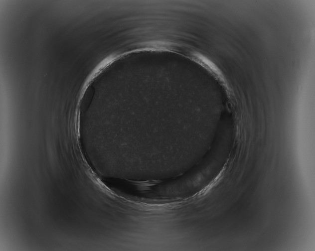 X0000085821180200703231350