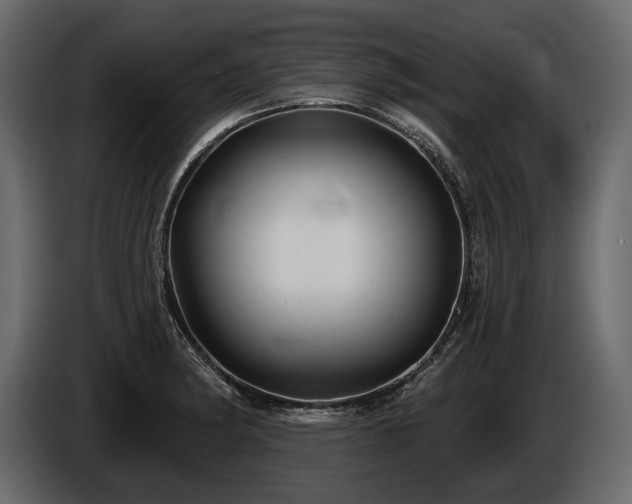 X0000085821182200703231350
