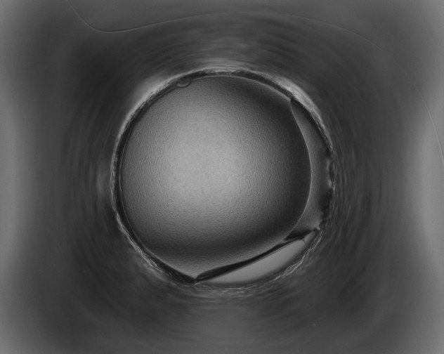 X0000085821183200703231350
