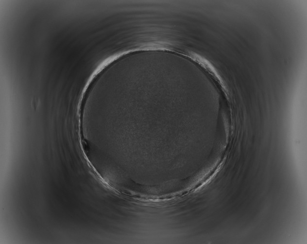 X0000085821184200703231350