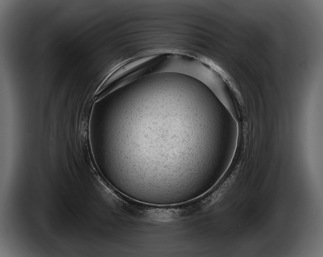 X0000085821185200703231350