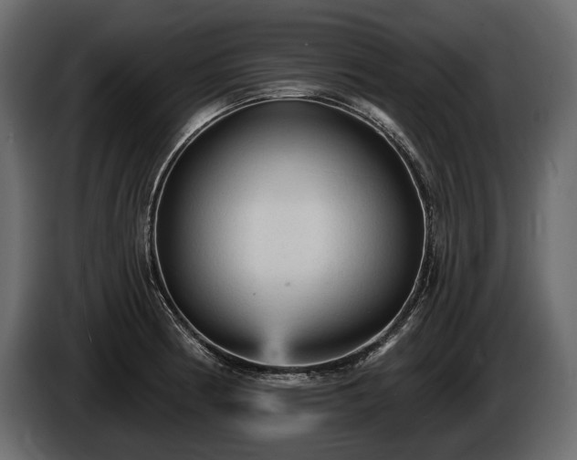 X0000085821186200703231350