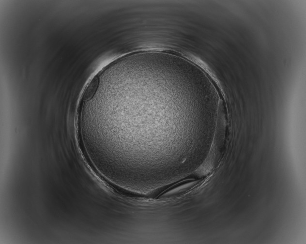 X0000085821187200703231350