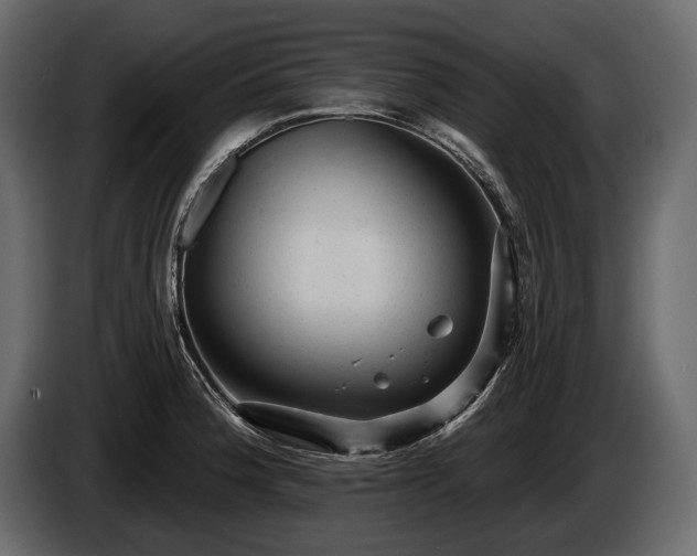 X0000085821188200703231350