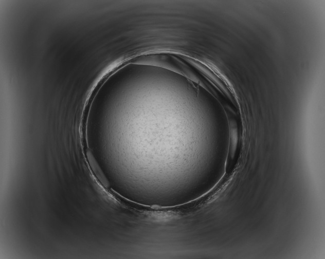 X0000085821189200703231350