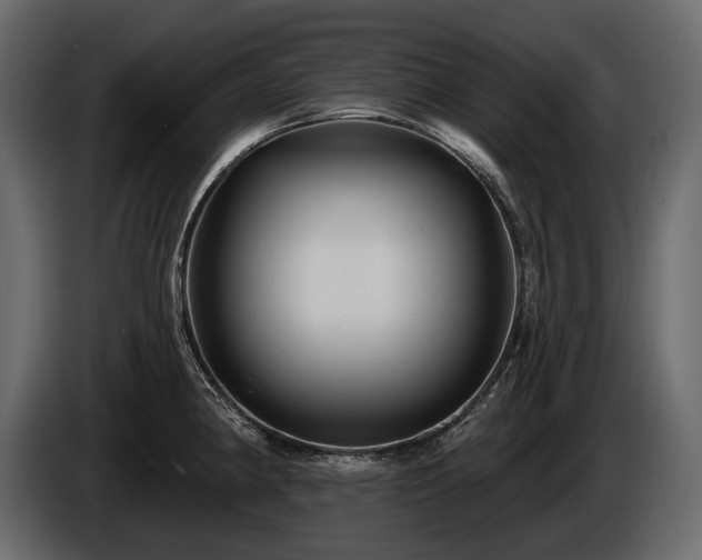 X0000085821190200703231350