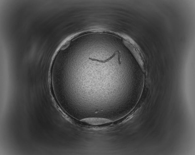 X0000085821191200703231350