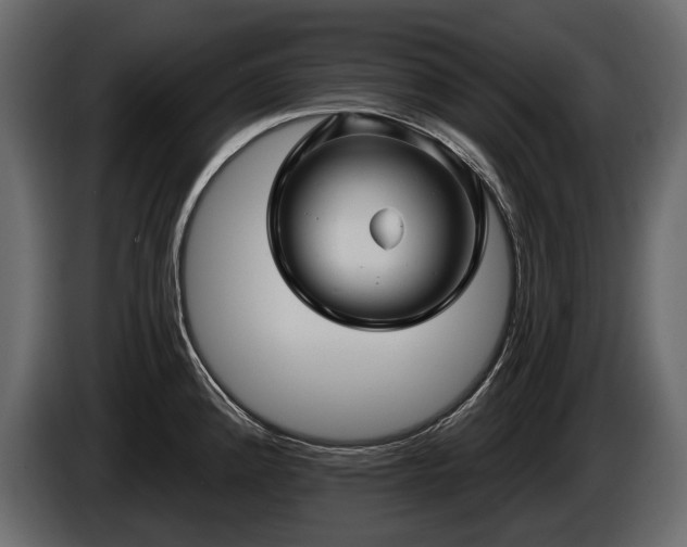 X0000085821192200703231350
