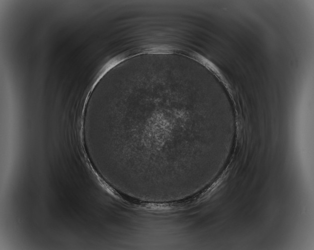 X0000085821194200703231350