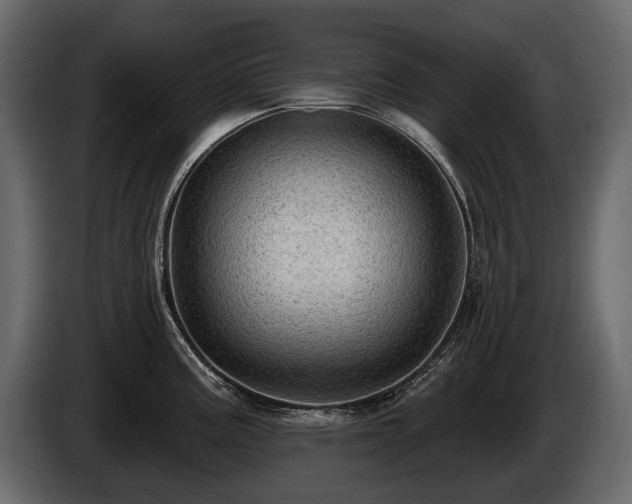 X0000085821195200703231350