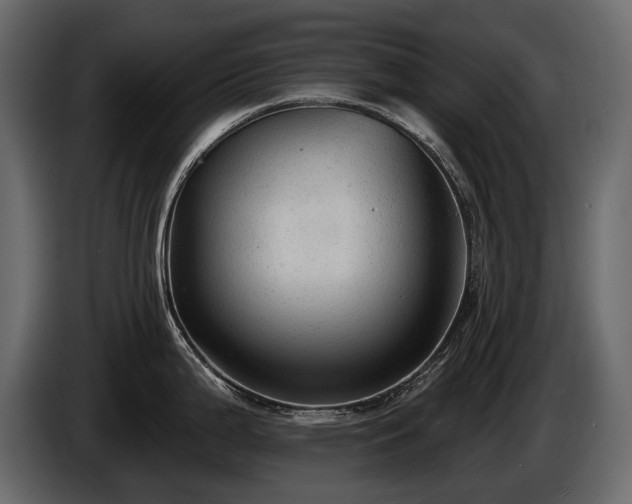 X0000085821199200703231350
