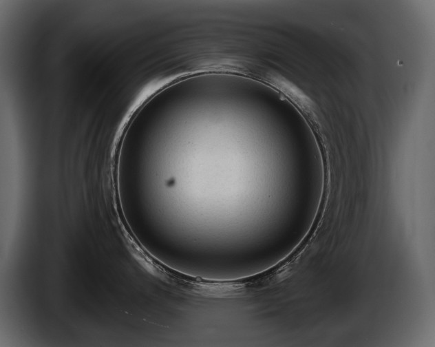 X0000085821200200703231350