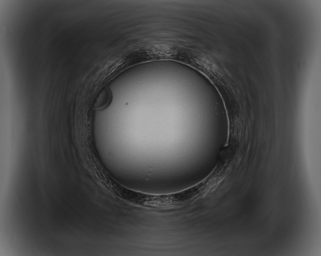 X0000085821201200703231349